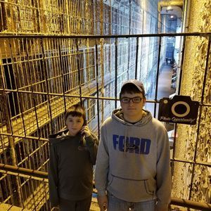 Meet your Posher, Ann